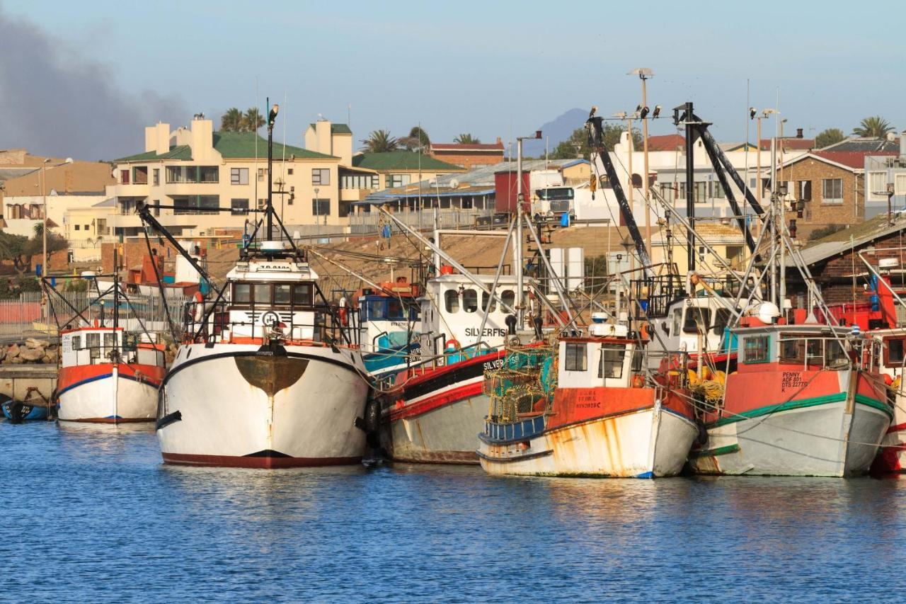 Bokkomblommetjie Lambert's Bay Bagian luar foto