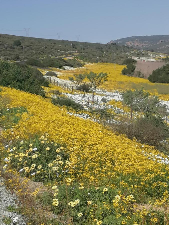Bokkomblommetjie Lambert's Bay Bagian luar foto